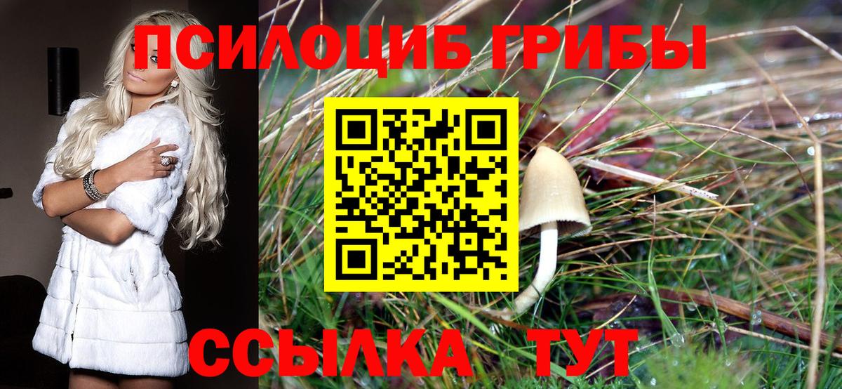 Галлюциногенные грибы Magic Shrooms Якутск