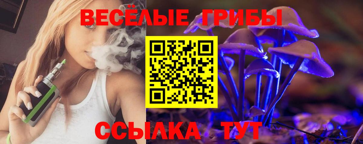 Якутск  Псилоцибиновые грибы Psilocybe  Вход с VPN 